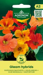 Nasturtium Gleam Hybrids Seeds